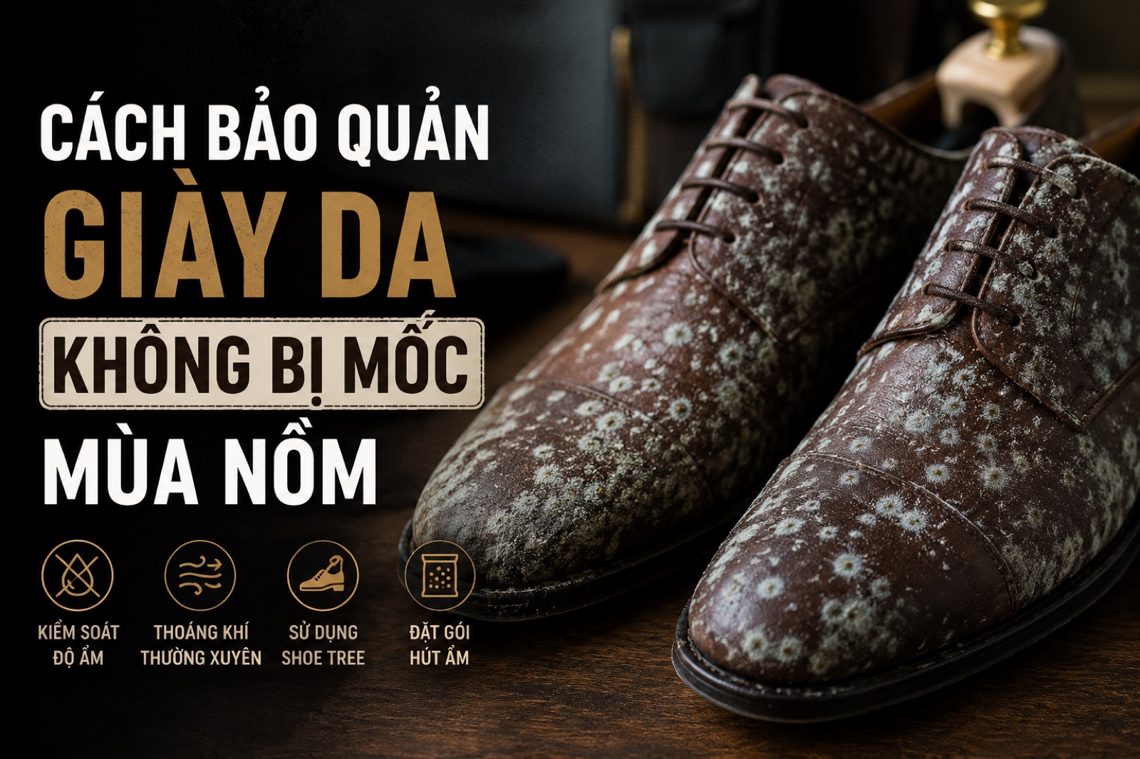 Bảo quản đồ da
